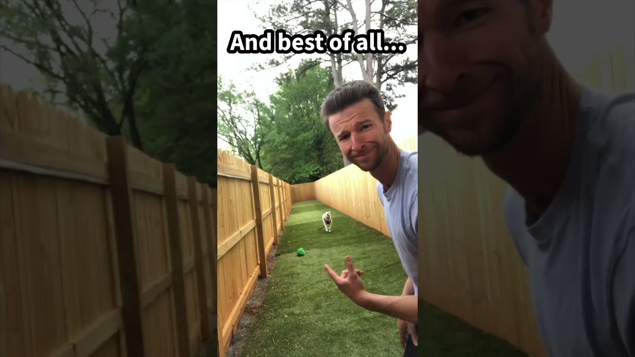 Enlarge Natalie, a ADOPTABLE mixed breed in Kennesaw, GA video 6/6