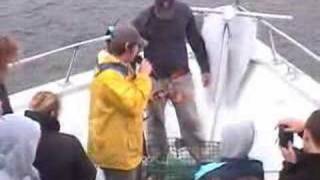 preview picture of video 'Cap'n Fish's Lobster Trap Hauling, Boothbay Harbor Me'