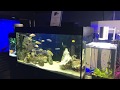 Aqua One Brilliance Aquarium Simply Brilliant