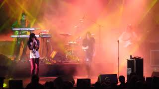 Ariel Pink - White freckles (live @ Rivierenhof, 30-08-2018)