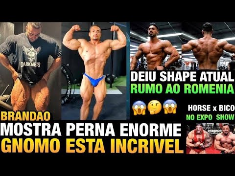 BRANDÃO ENORME - GNOMO MOSTRA SHAPE ATUAL - ANDREI DEIU VAI SUBIR NO ROMENIA - HORSE VS BICO E MAIS