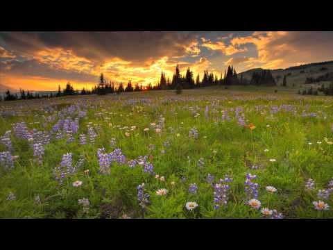 Tobi Atkins - Set Me Free (Trance Arts Remix) [Unearthed Red] [HD]