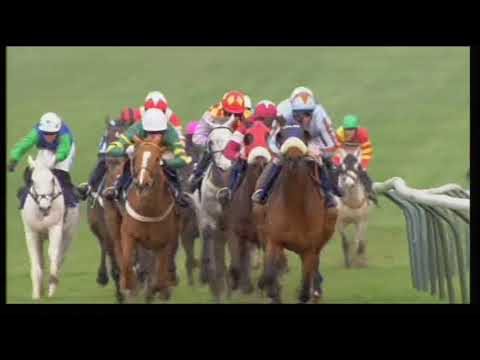 2011 Centenary Novices' Handicap Chase - Cheltenham Festival