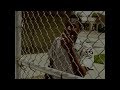 Mid90s 2018 Security Guard Scene HD Spotlight