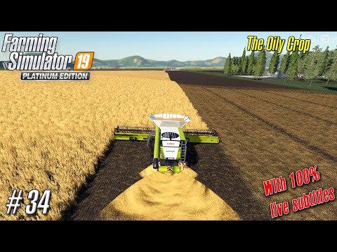 FS 19 Timelapsed Gameplay |  Production 8X Map | 34 | The Oily Crop