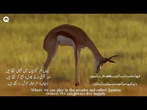 Fi Ha (Original) (Al Jannah) with English, Arabic and Urdu subtitles