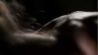 Teitur - Freight Train (Official Music Video in HD) - LET THE DOG DRIVE HOME