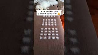 Quem tem pet precisa ver isso! 😱 #pets #cachorro #gatos