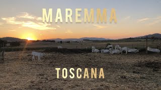 MAREMMA TOSCANA - Dove il mare incontra la vita contadina - DJI MINI 2 GOPRO HERO 8 BLACK