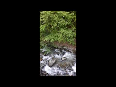 Cascada Vaidei - Stanesti Gorj