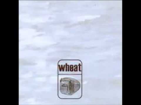 Wheat - Summer