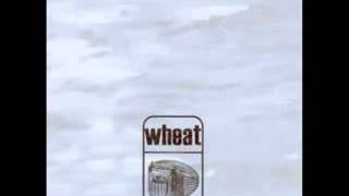 Wheat - Summer