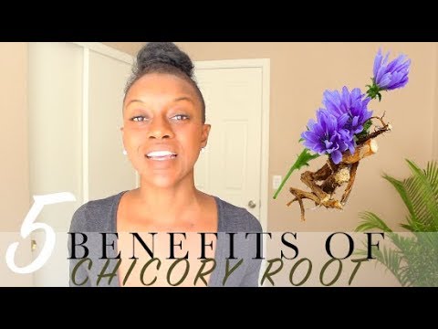 5 Benefits of Chicory Root| Coffee Alternative