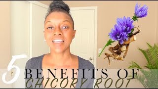 5 Benefits of Chicory Root| Coffee Alternative
