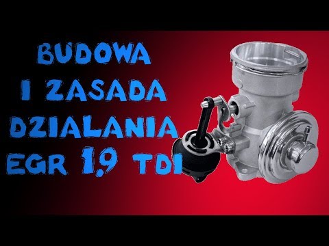 Expander zwiększyć człon Każdy członek dużej wielkości niektóre małe