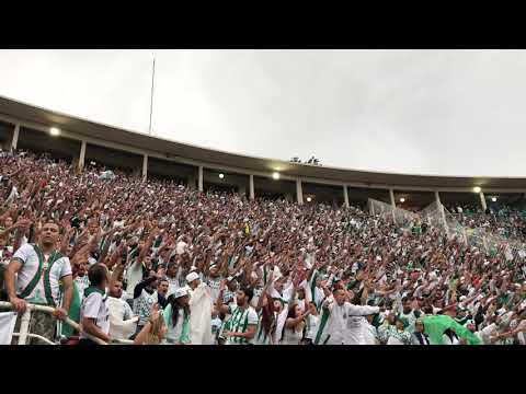 HINO DO PALMEIRAS NO PACAEMBU