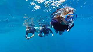 An Immersive Journey to Tetiaroa with Android XR & Google - Experience The Brando in 180°
