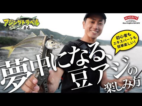 《 アジングトラベル vol.4 》初心者もエキスパートも夢中になる 豆アジングの楽しみ方！