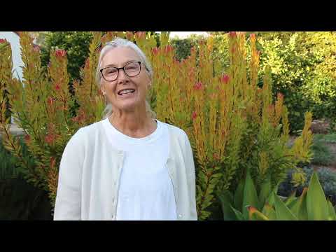 Why I Support School Gardens