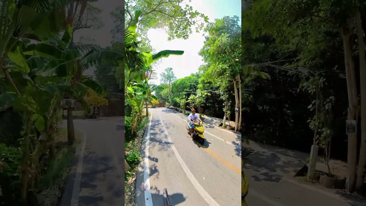 YouTube Short thumbnail