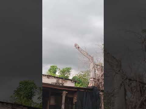 🌧️⛈️ SE AVECINA LLUVIA PARA LA PACHA, BOLÍVAR 🌧️