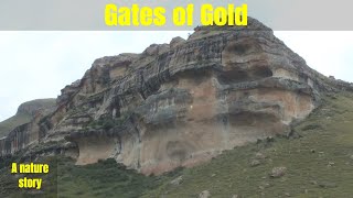 preview picture of video 'Gates Of Gold'