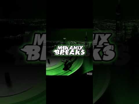 BasStyler - Cheated (Afghan Headspin & Pluvio rmx)