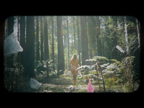 FRAME ~ THE FOREST (Feat. Baltimöre Charlót)