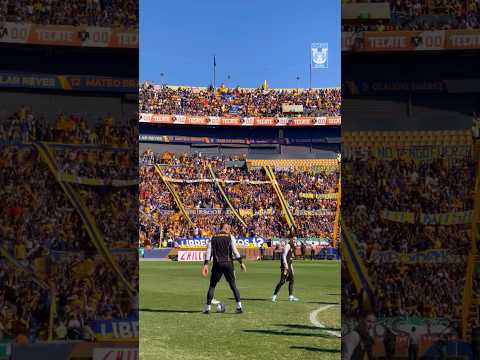 "" Barra: Libres y Lokos • Club: Tigres