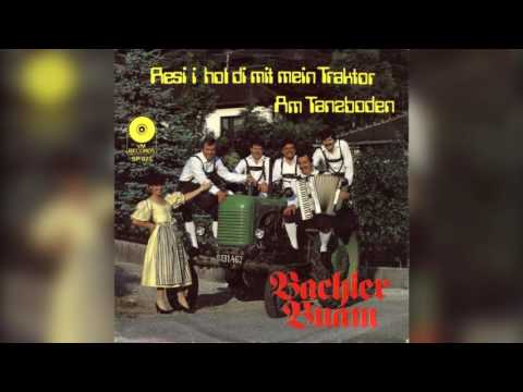 Bachler Buam - Resi i hol di mit mein Traktor