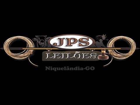 JPS LEILÕES - NIQUELÂNDIA - GO - 09/04/2024