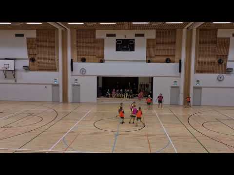 HauPa T1213 Vihr - HauPa T1213 Kelt