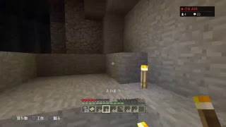 新企画！マイクラ巨大都市建設計画！参加型