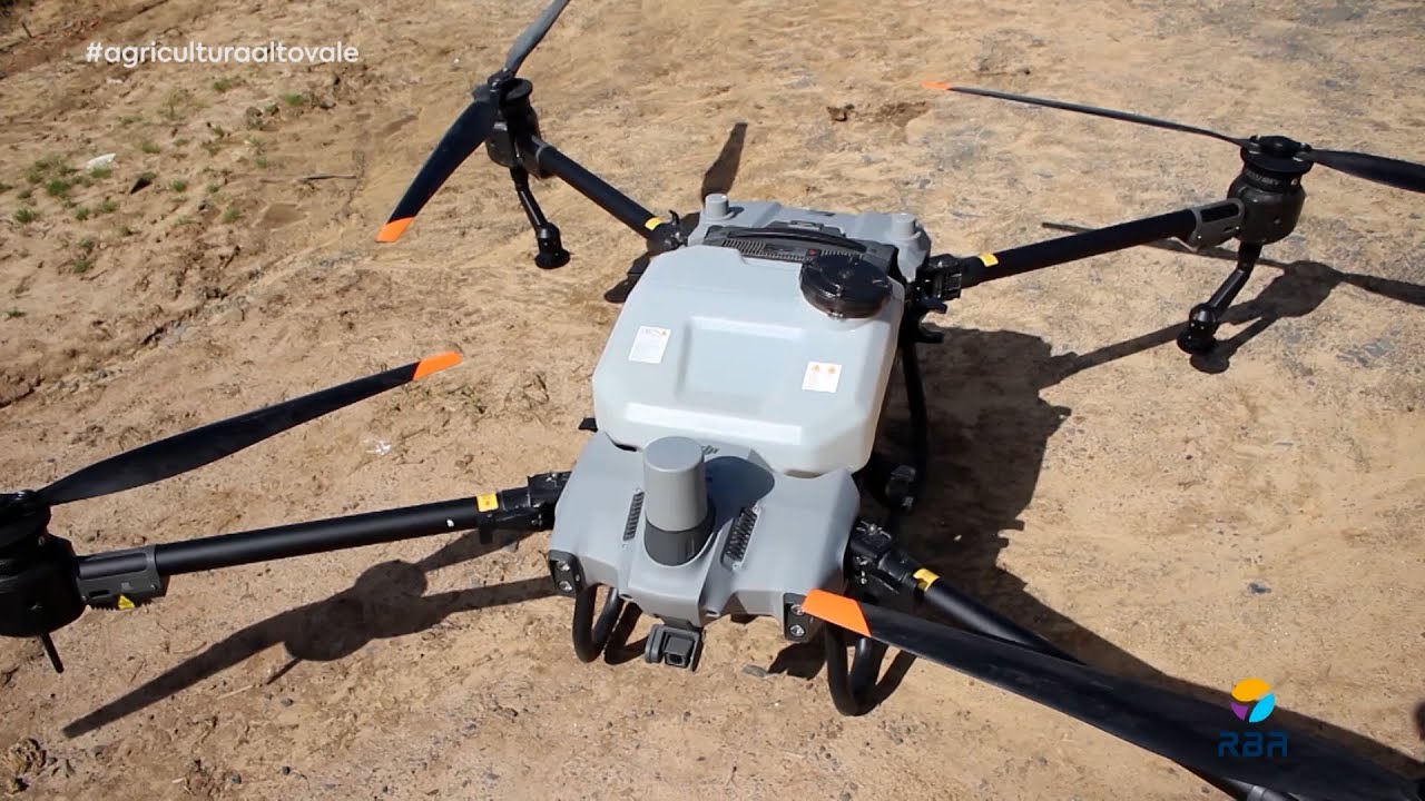 Drone na cebola