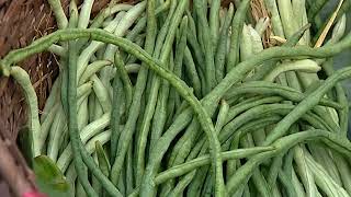 কৃষি তথ্য সার্ভিস- ২