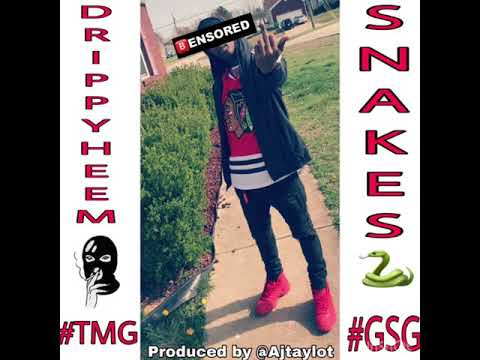 “Snakes”- Drippyheem x V3LLi (Prod. Ayejtaylor)
