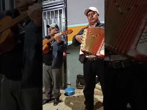 Amalaya ✨ MÚSIC MORO MORO