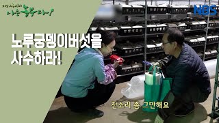 [나의 사랑, 노루궁뎅이버섯] 팬에서 삶을 공유하는 식구로