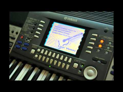 Yamaha PSR 9000 - VERSION 3!✅ RARE from 2000s✅ USB + 32MB RAM + Harddrive ✅ checked and Full cleaned✅ WorldWide Shipping ✅ Yamaha Tyros DNA image 21