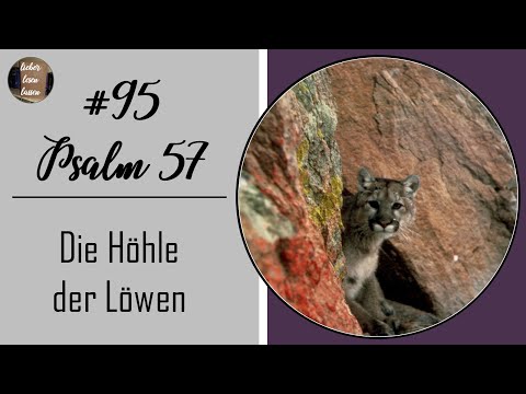 Psalm 57 Höhle der Löwen | #95 | Verfolgung | Ein Psalm am Tag macht klug und stark