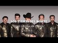 LOS TIGRES DEL NORTE - COMO LA VIDA SIN FÚTBOL (LETRA)