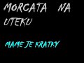 Máme je krátký-na ptáky jsme krátký - Morčata na útěku