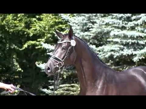 23   Helium   v  Millennium   Induc   Arsenal