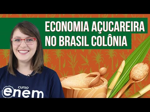 THE SUGAR ECONOMY IN COLONIAL BRAZIL | History Summary for Enem