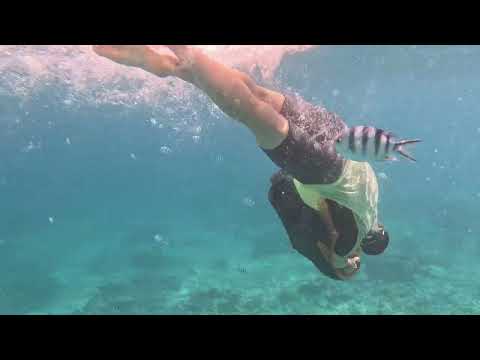 Miniature de la vidéo : Incroyable rotation à 360°