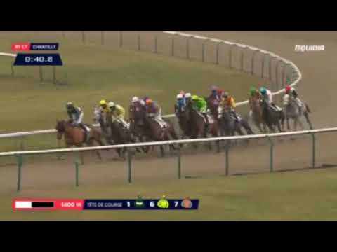 Joplin Chantilly 20.11.18 Trainer D.Fechner