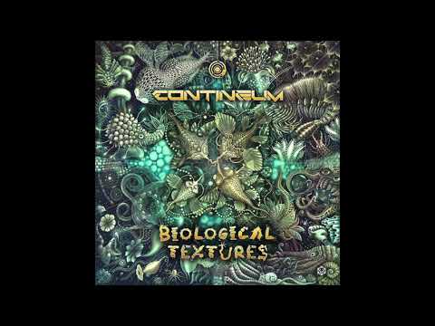 Contineum   Transforming Particles