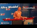 Alice Weidel Extremist Politics AfD Citizens Dialogue Antifa Counter Demonstration Donauesc