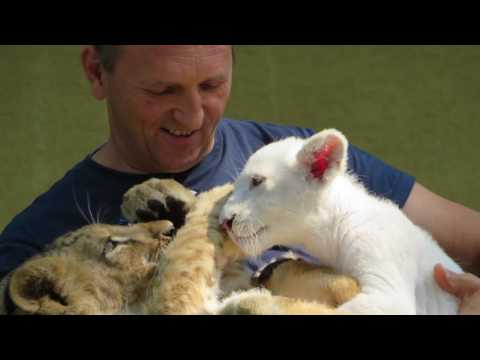 Hídemberek Portré - Tóth Tibor (8. rész)