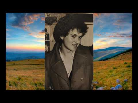 Radovan Rajko Ilic - Trostice - (Official Video 2019)